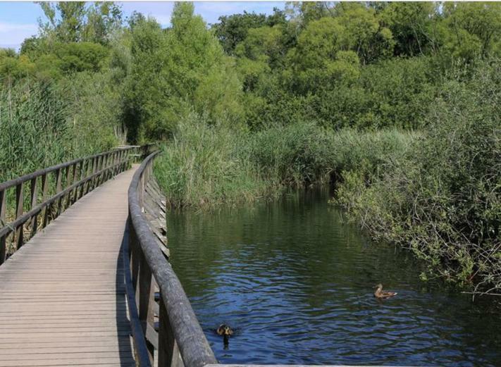 Ferienresidenz "Seelust" Whg 5 Βάρεν Εξωτερικό φωτογραφία